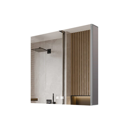 Corsica 20 in W x 28 in H Surface-Mount LED Mirror Medicine Cabinet with Defogger
