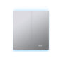 Corsica 30 in W x 36 in H Surface-Mount LED Mirror Medicine Cabinet with Defogger