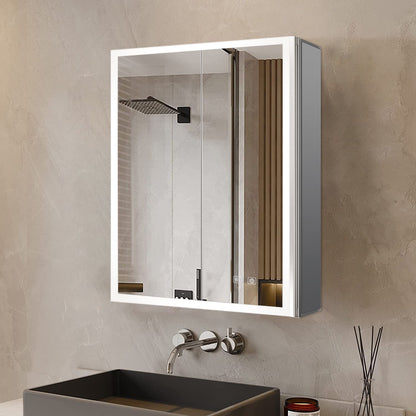 Mesa 24 in W x 28 in H Surface-Mount LED Mirror Medicine Cabinet with Defogger