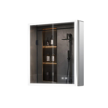 Mesa 24 in W x 28 in H Surface-Mount LED Mirror Medicine Cabinet with Defogger
