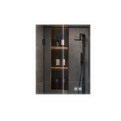 Mesa 24 in W x 30 in H Surface-Mount LED Mirror Medicine Cabinet with Defogger