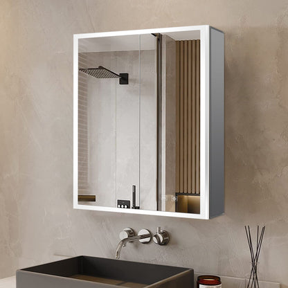 Mesa 24 in W x 32 in H Surface-Mount LED Mirror Medicine Cabinet with Defogger