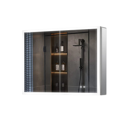 Mesa 30 in W x 36 in H Surface-Mount LED Mirror Medicine Cabinet with Defogger