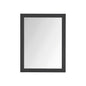 Castor 28 in W x 36 in H Mirror