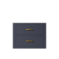 Castor 24 in W x 18 in D Blue Single Bath Vanity