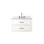 Castor 30 in W x 22 in D White Double Bath Vanity