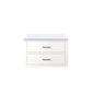 Castor 30 in W x 22 in D White Double Bath Vanity