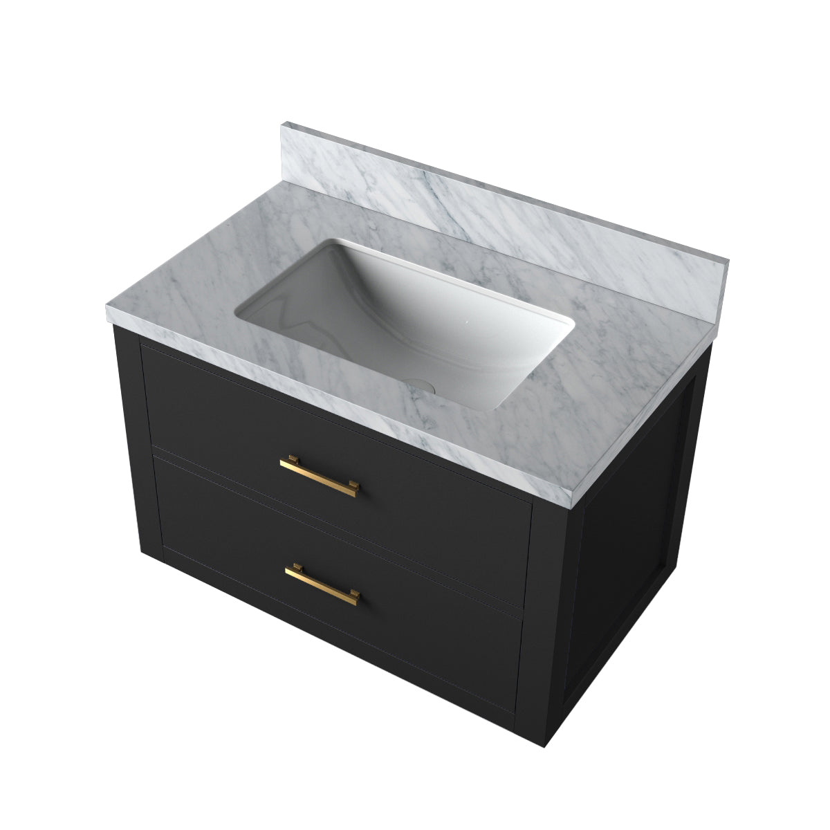 Castor 30 in W x 22 in D Black Double Bath Vanity