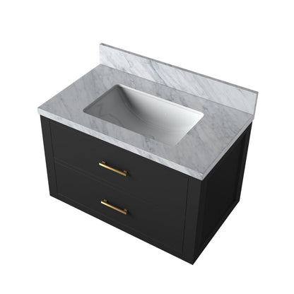 Castor 30 in W x 22 in D Black Double Bath Vanity