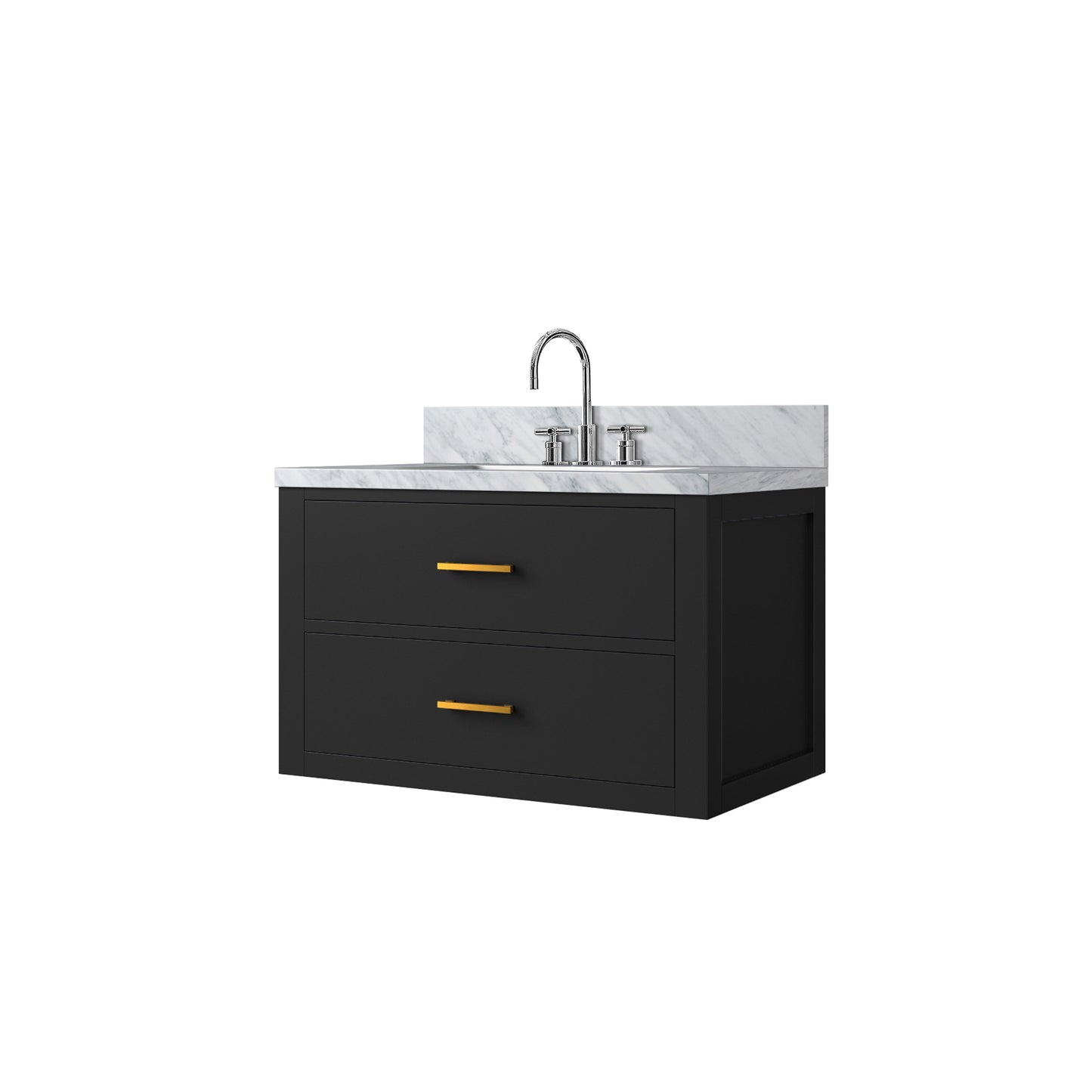 Castor 30 in W x 22 in D Black Double Bath Vanity
