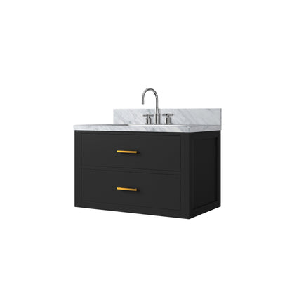 Castor 30 in W x 22 in D Black Double Bath Vanity