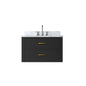 Castor 30 in W x 22 in D Black Double Bath Vanity