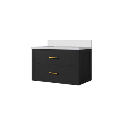 Castor 30 in W x 22 in D Black Double Bath Vanity