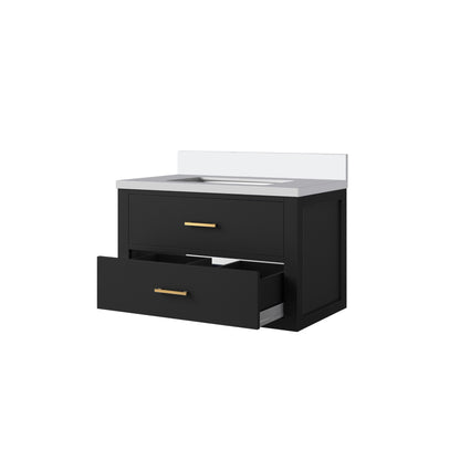 Castor 30 in W x 22 in D Black Double Bath Vanity