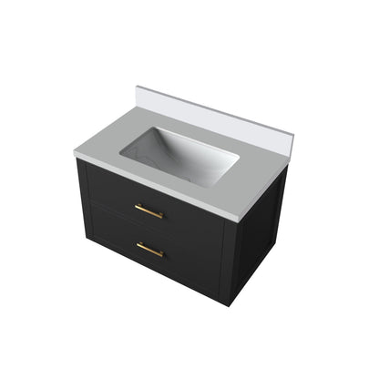 Castor 30 in W x 22 in D Black Double Bath Vanity