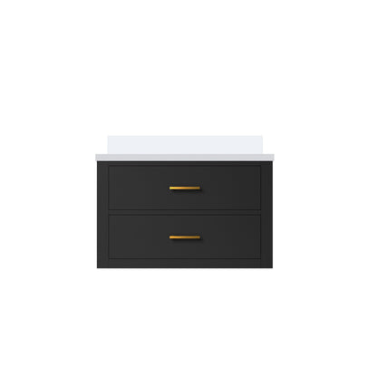 Castor 30 in W x 22 in D Black Double Bath Vanity