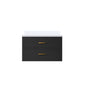 Castor 30 in W x 22 in D Black Double Bath Vanity