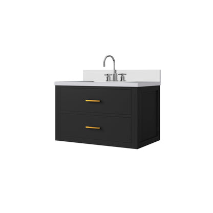 Castor 30 in W x 22 in D Black Double Bath Vanity