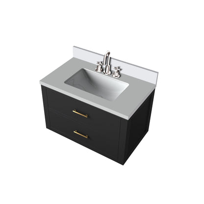 Castor 30 in W x 22 in D Black Double Bath Vanity
