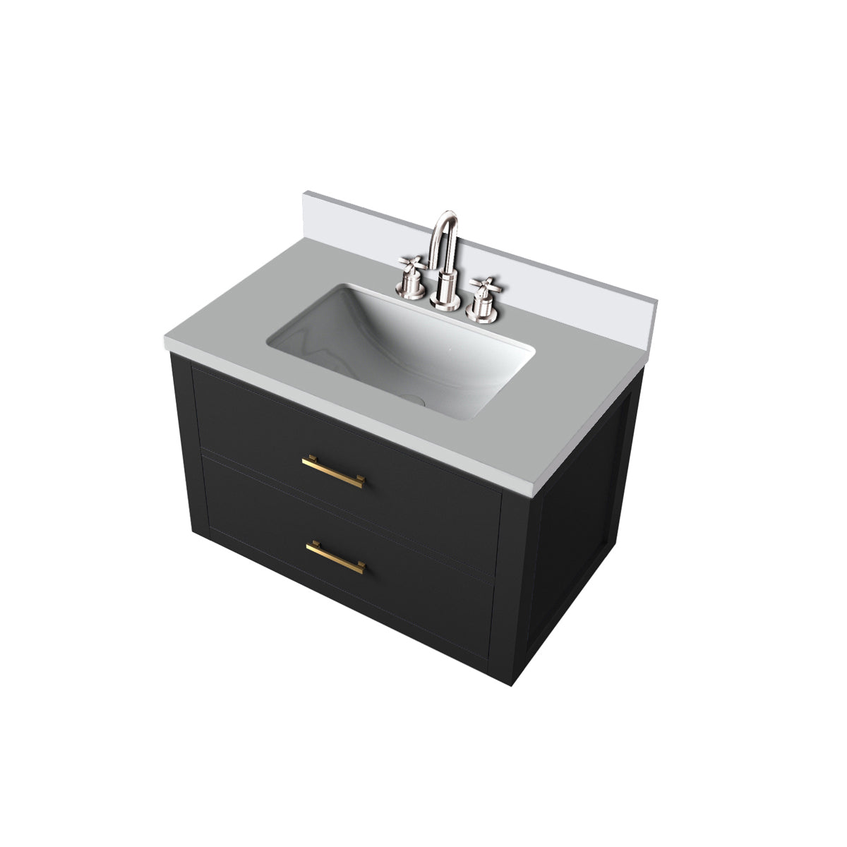 Castor 30 in W x 22 in D Black Double Bath Vanity