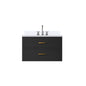 Castor 30 in W x 22 in D Black Double Bath Vanity