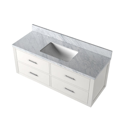 Castor 48 in W x 22 in D White Double Bath Vanity
