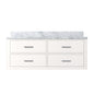 Castor 48 in W x 22 in D White Double Bath Vanity