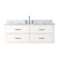 Castor 48 in W x 22 in D White Double Bath Vanity