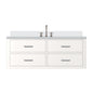 Castor 48 in W x 22 in D White Double Bath Vanity