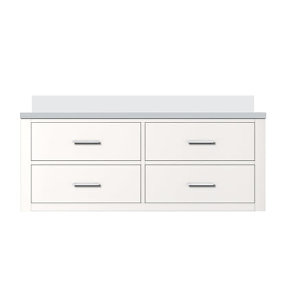 Castor 48 in W x 22 in D White Double Bath Vanity