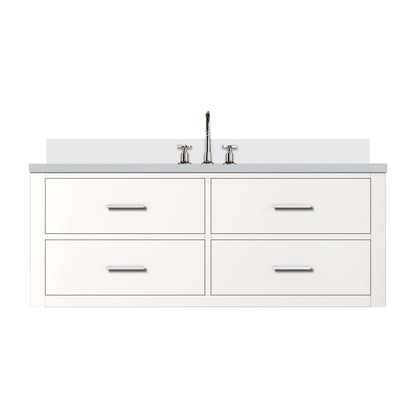 Castor 48 in W x 22 in D White Double Bath Vanity