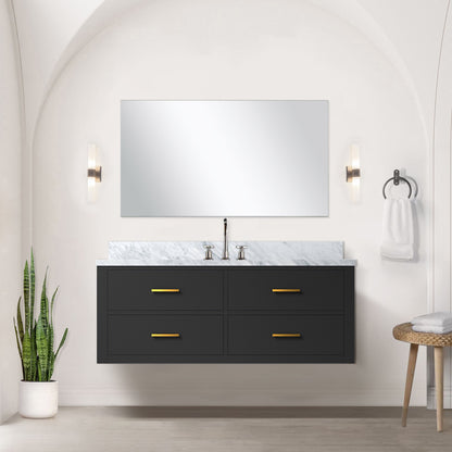 Castor 48 in W x 22 in D Black Double Bath Vanity