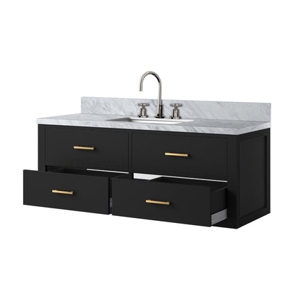 Castor 48 in W x 22 in D Black Double Bath Vanity