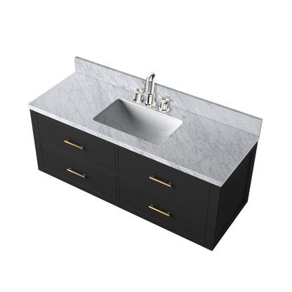 Castor 48 in W x 22 in D Black Double Bath Vanity