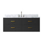 Castor 48 in W x 22 in D Black Double Bath Vanity