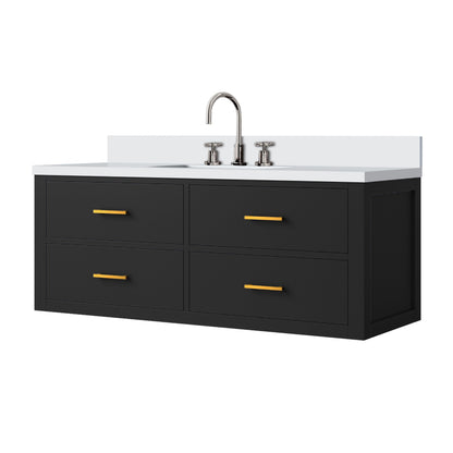 Castor 48 in W x 22 in D Black Double Bath Vanity