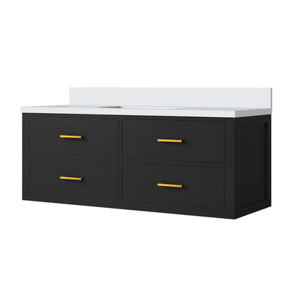 Castor 48 in W x 22 in D Black Double Bath Vanity