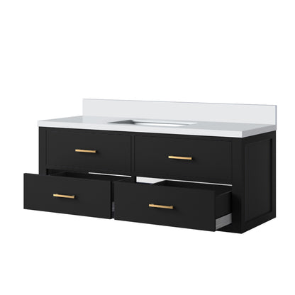 Castor 48 in W x 22 in D Black Double Bath Vanity