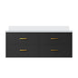 Castor 48 in W x 22 in D Black Double Bath Vanity