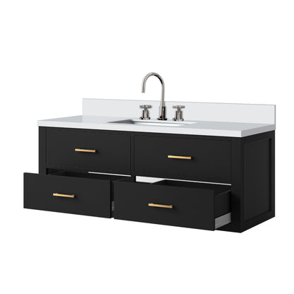Castor 48 in W x 22 in D Black Double Bath Vanity