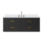 Castor 48 in W x 22 in D Black Double Bath Vanity