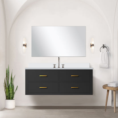 Castor 48 in W x 22 in D Black Single Bath Vanity