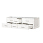 Castor 60 in W x 22 in D White Double Bath Vanity
