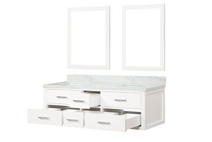 Castor 60 in W x 22 in D White Double Bath Vanity