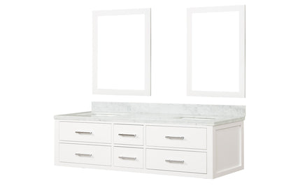 Castor 72 in W x 22 in D White Double Bath Vanity