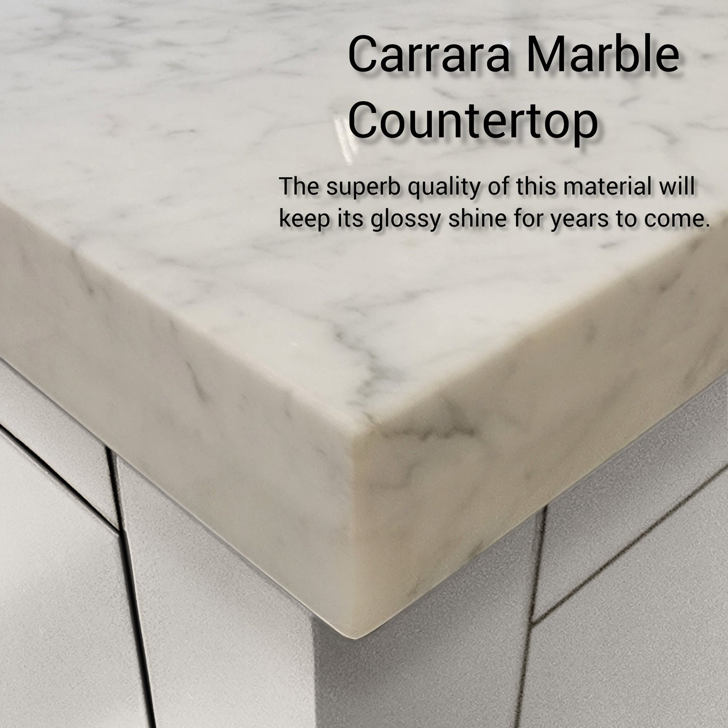 Castor 80 in W x 22 in D White Double Bath Vanity