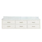 Castor 80 in W x 22 in D White Double Bath Vanity
