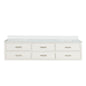 Castor 80 in W x 22 in D White Double Bath Vanity