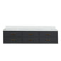 Castor 80 in W x 22 in D Black Double Bath Vanity