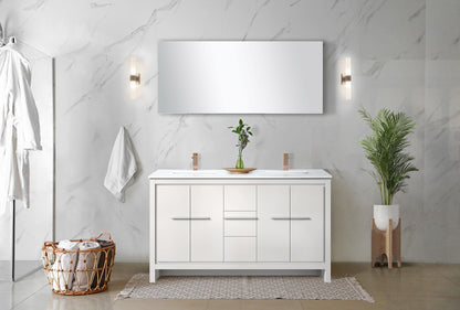 Lafarre 60 in W x 20 in D White Double Bath Vanity